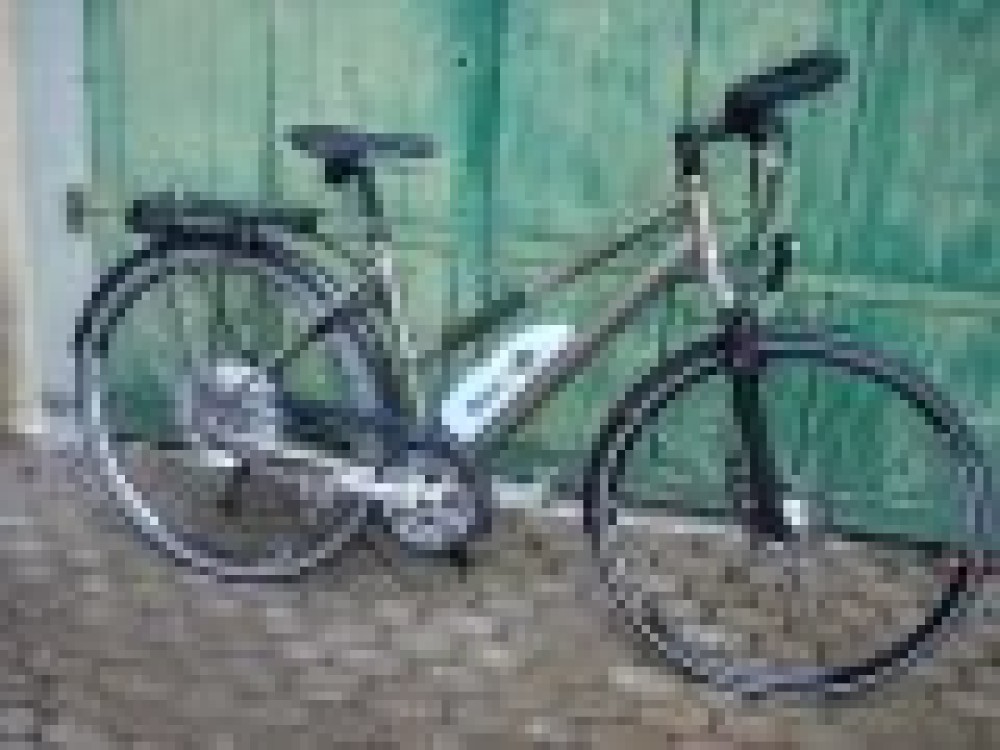 Bionx Pl250 light - petit, pas cher et l&eacute;ger - dispnible chez Easycycle !