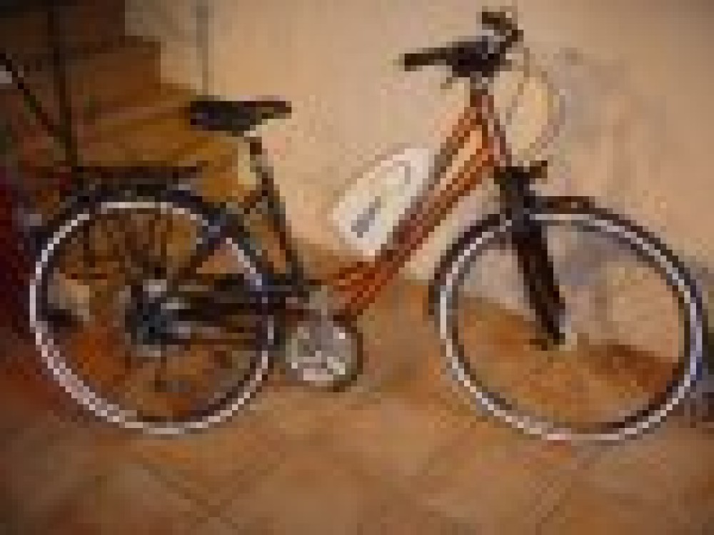 Bionx : Un nouveau mod&egrave;le cadre mixte &agrave; essayer chez nous !