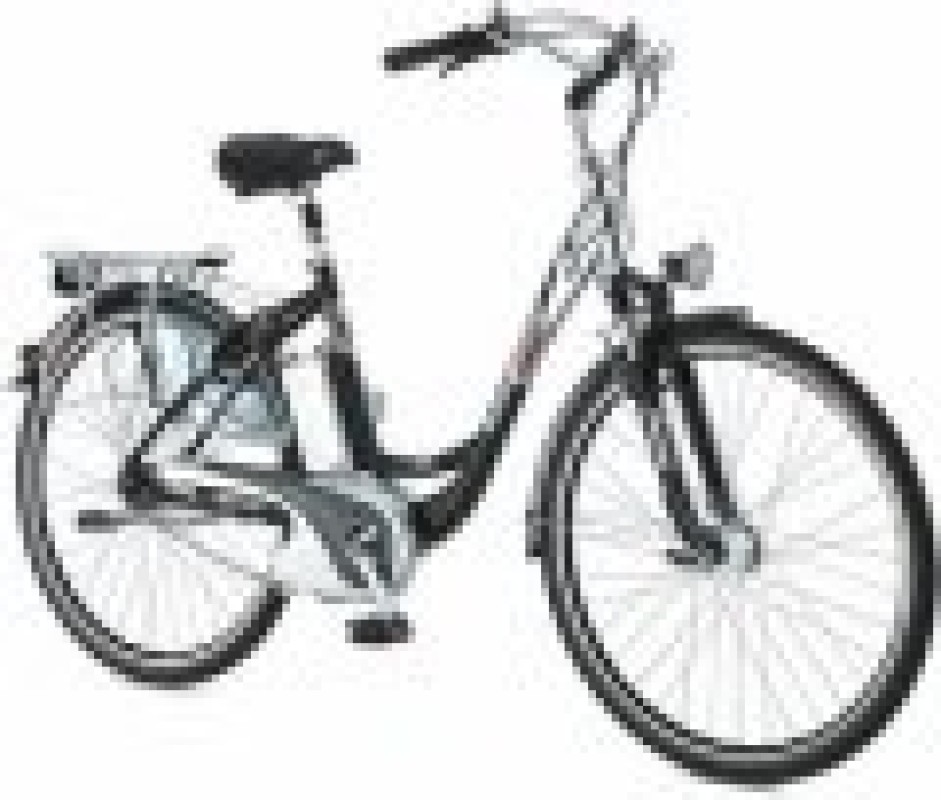 Raleigh n'a plus de stock... nous avons son fr&egrave;re jumeau !