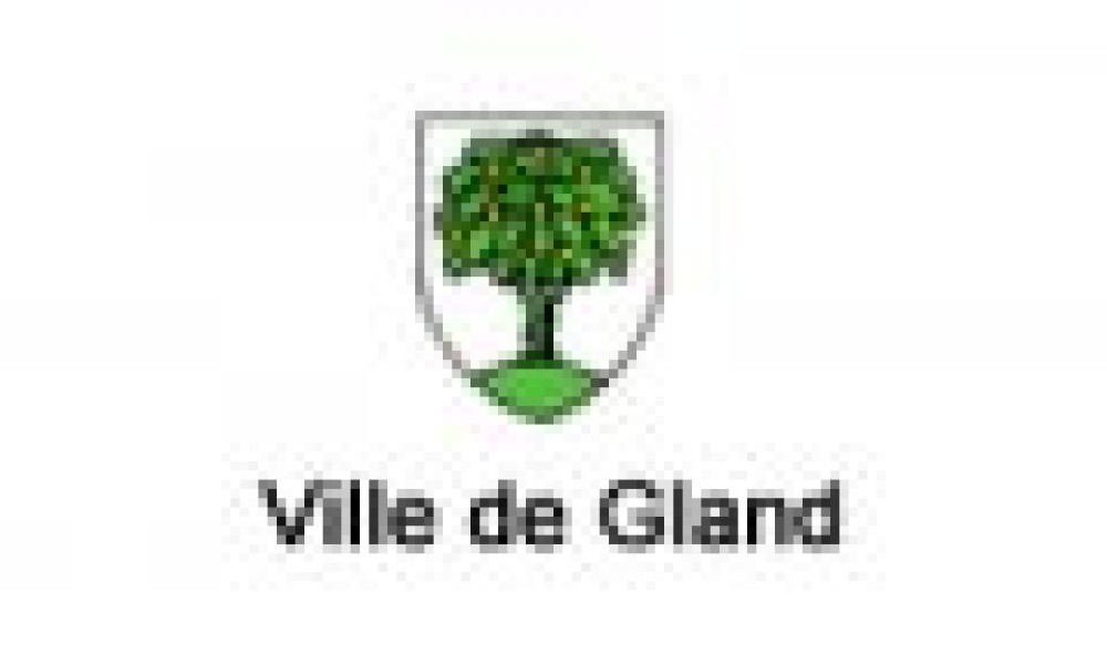 Grande vente de v&eacute;los &eacute;lectriques neufs et d'occasion le dimanche 28 septembre &agrave; Gland !